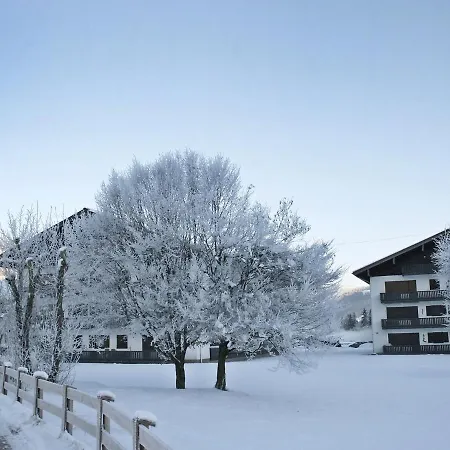 Daire Dachstein-3 By Interhome *