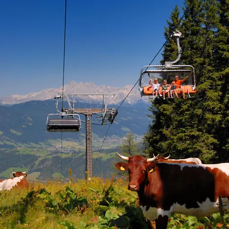 Dachstein-3 By Interhome Daire Flachau