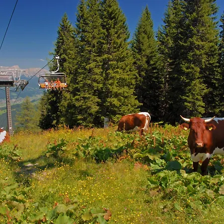 Lägenhet Dachstein 27 By Interhome *