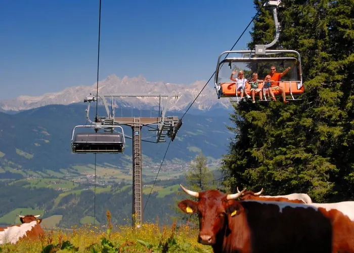 Dachstein 27 By Interhome アパート フラッハウ